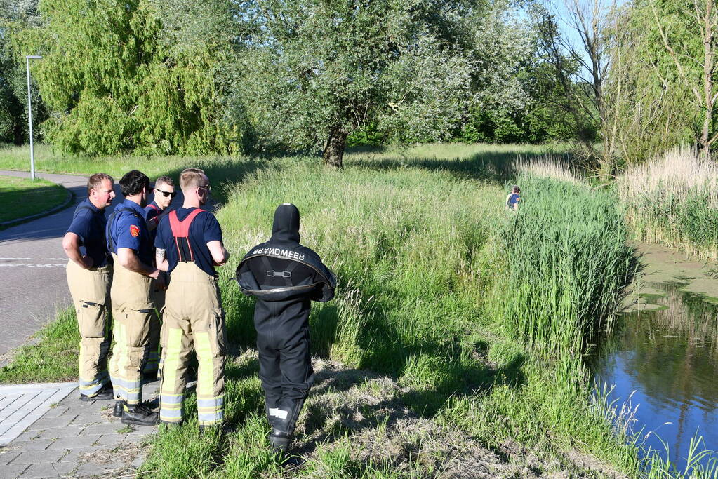 Zwaan raakt verstrikt in visdraad met dobber