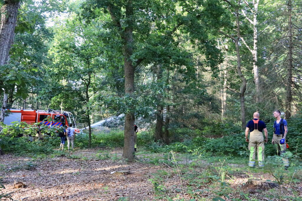 Beginnende natuurbrand snel geblust