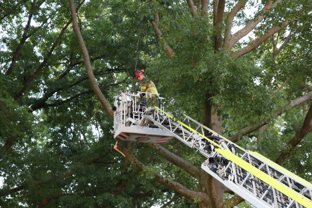 Brandweer verwijdert tak van doorgaande weg