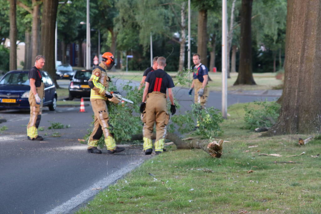 Brandweer verwijdert tak van doorgaande weg