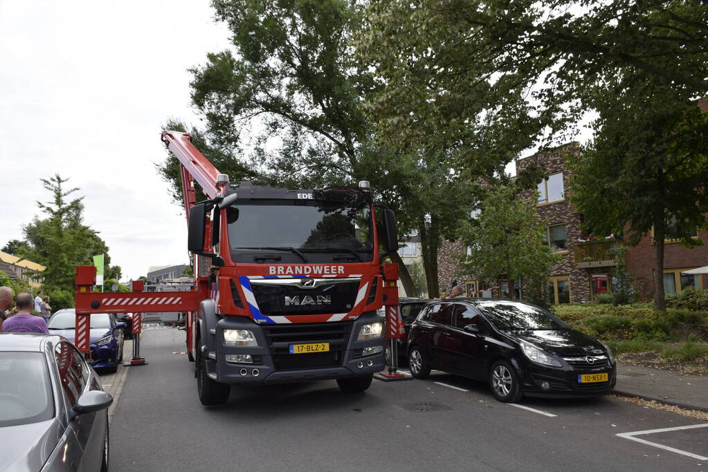 Grote tak breekt van boom af