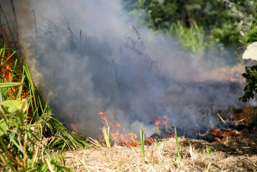 Bosschage Park Groenoord in brand