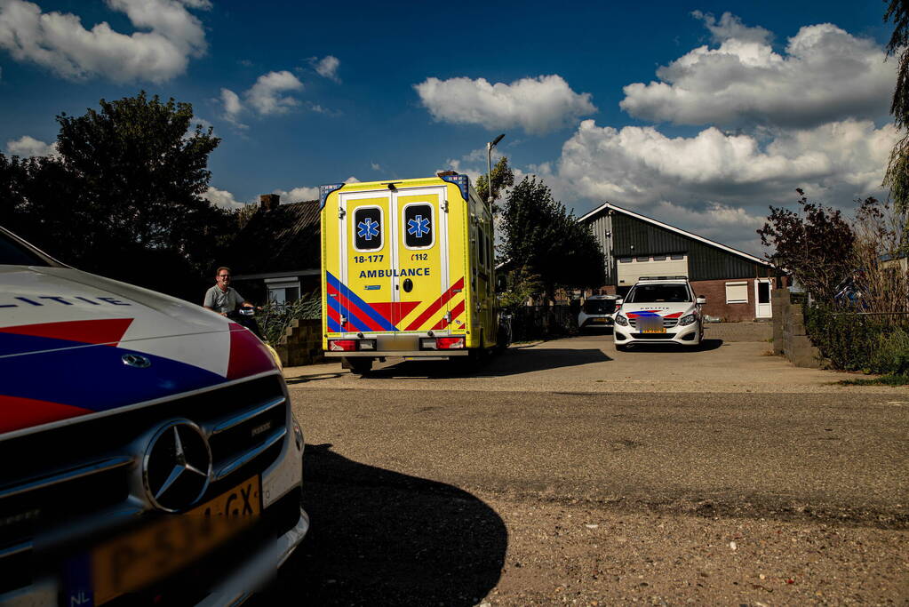 Mevrouw in gezicht getrapt door paard