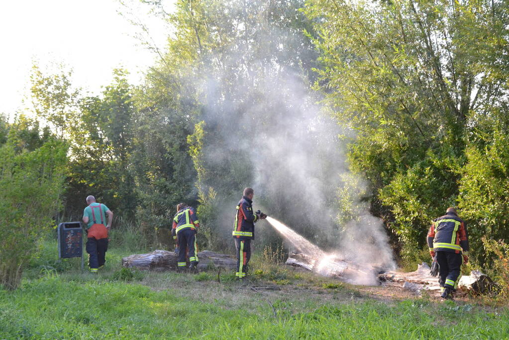 Flinke rookontwikkeling bij boomstam in brand