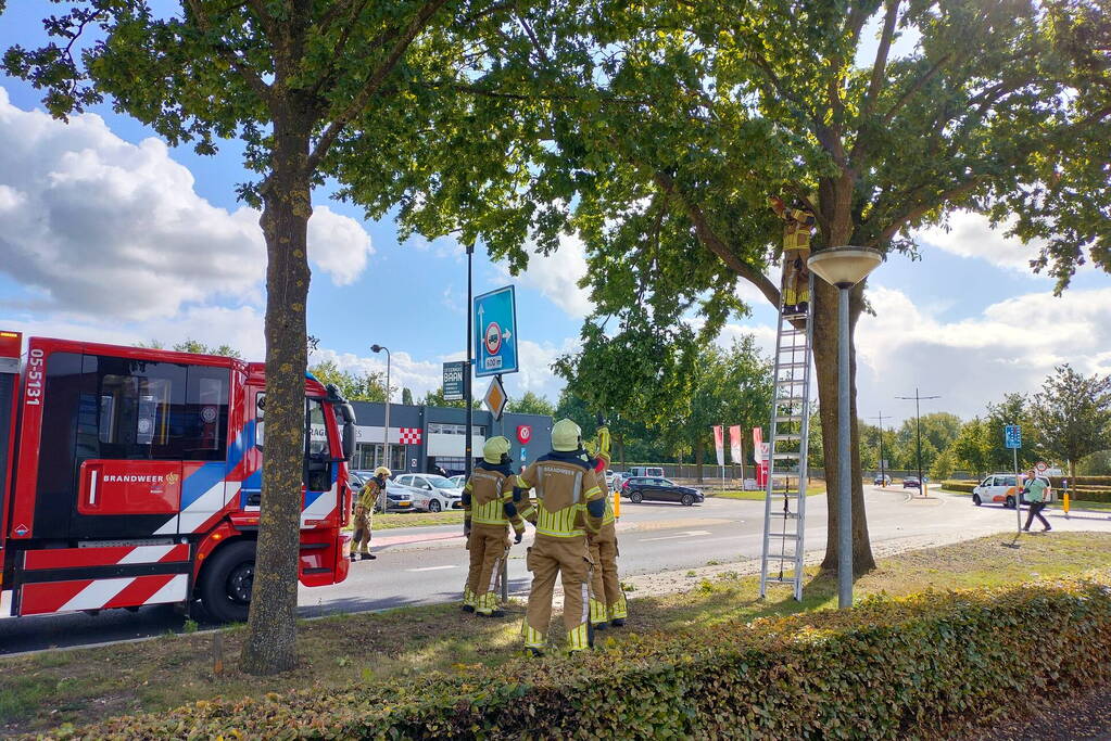 Brandweer verwijdert loshangende tak