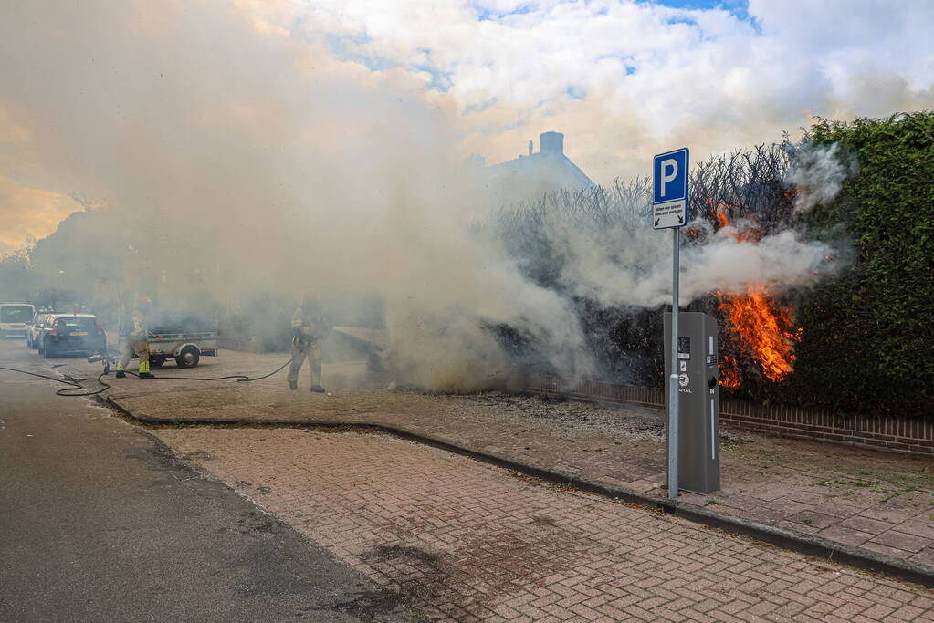 Onkruidbrander zet coniferenhaag in brand