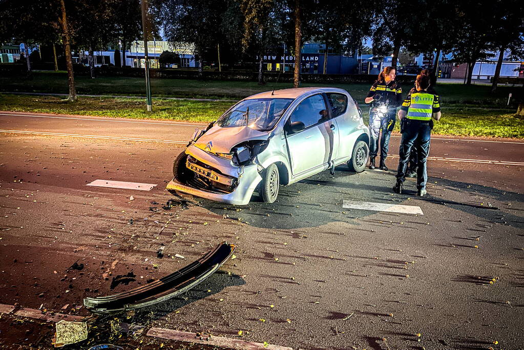 Bestuurder aangehouden na botsing tegen boom