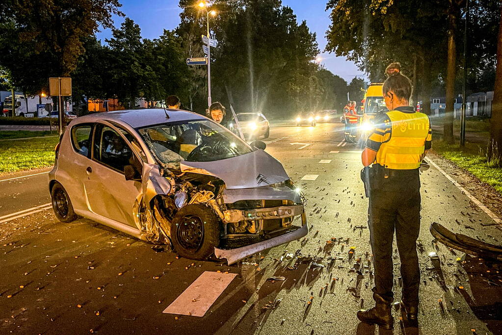 Bestuurder aangehouden na botsing tegen boom