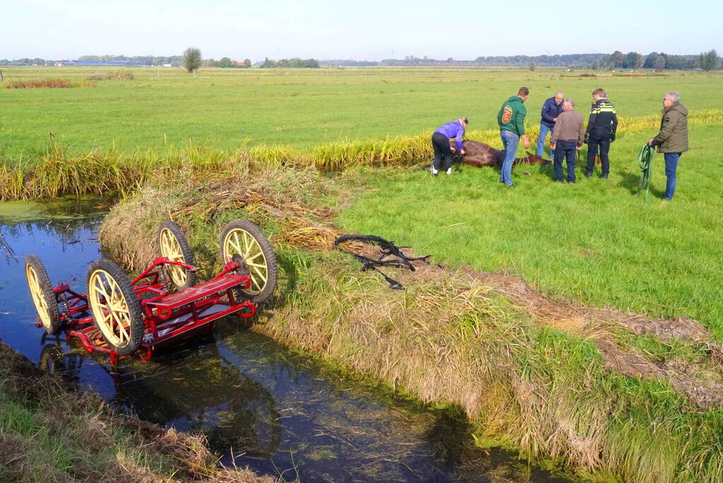 Paard met menwagen belanden in sloot