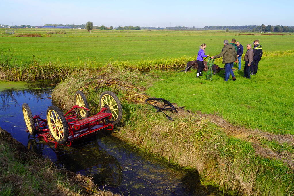 Paard met menwagen belanden in sloot