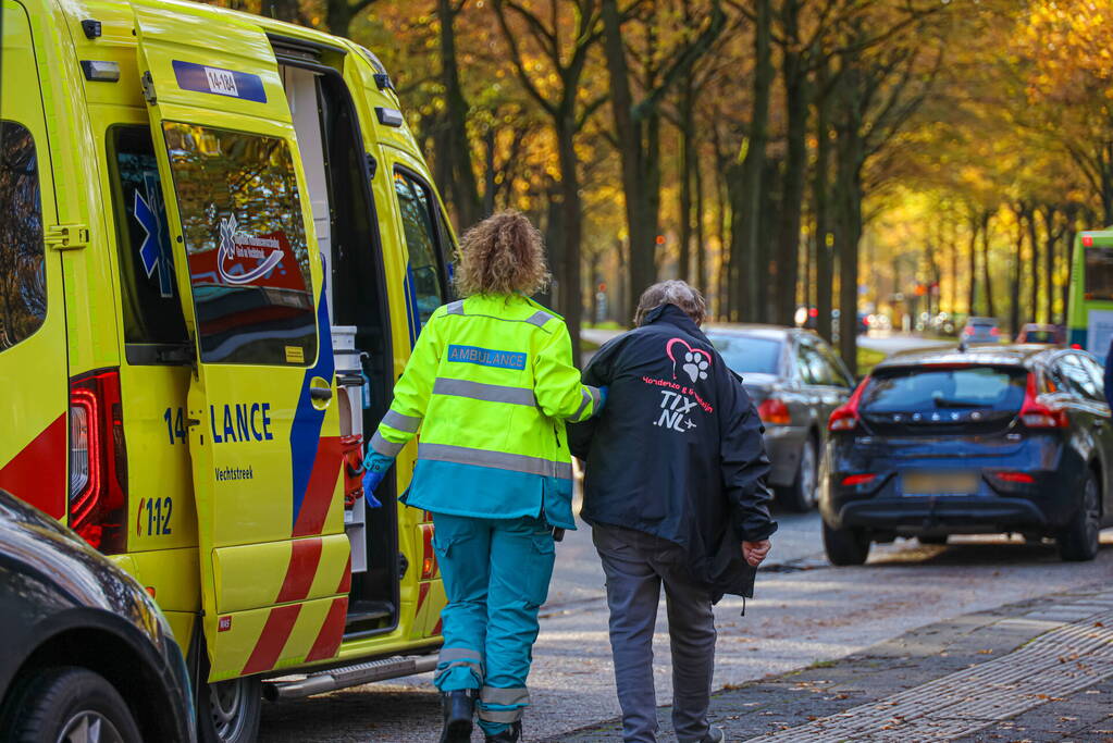 Automobilist botst tegen boom