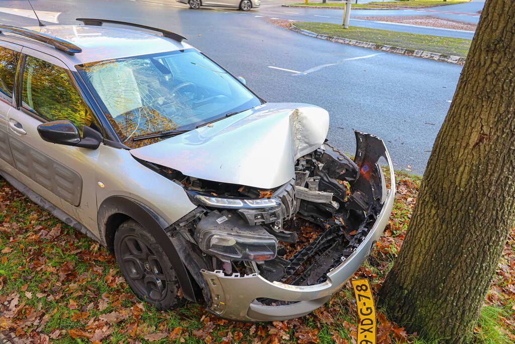 Automobilist botst tegen boom