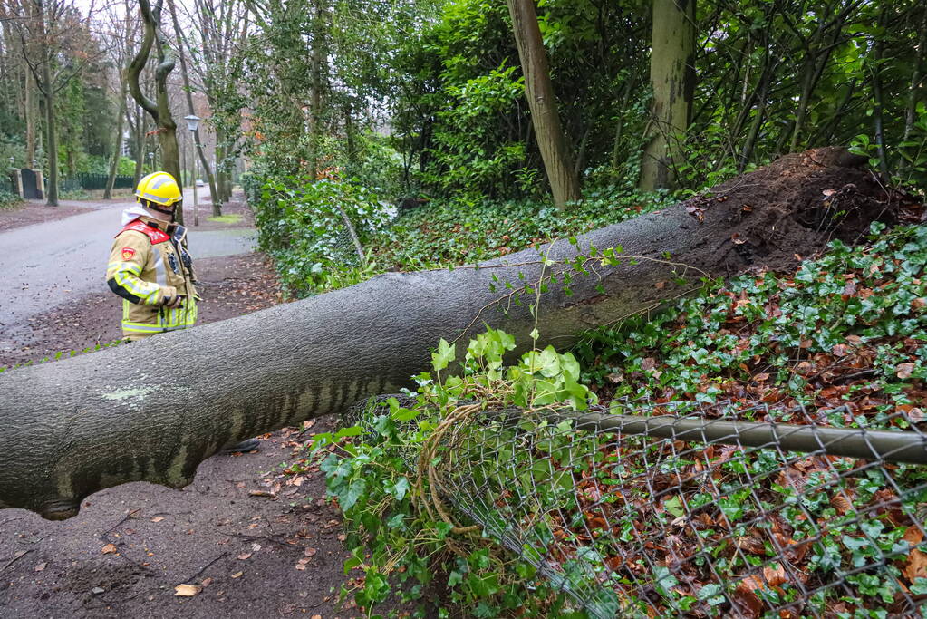 Omgewaaide boom verspert weg