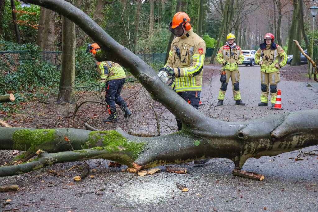 Omgewaaide boom verspert weg