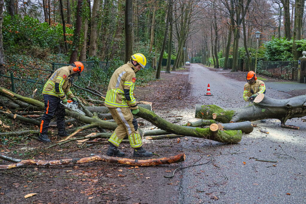 Omgewaaide boom verspert weg