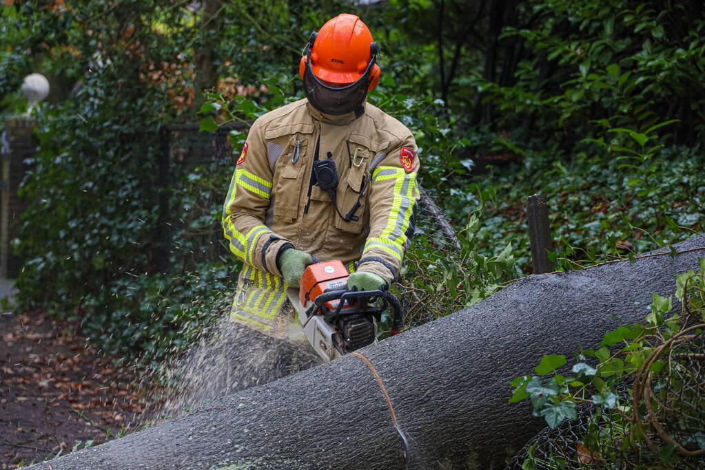 Omgewaaide boom verspert weg