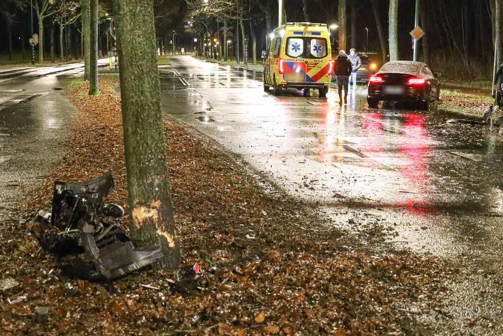 Flinke schade na botsing tegen boom