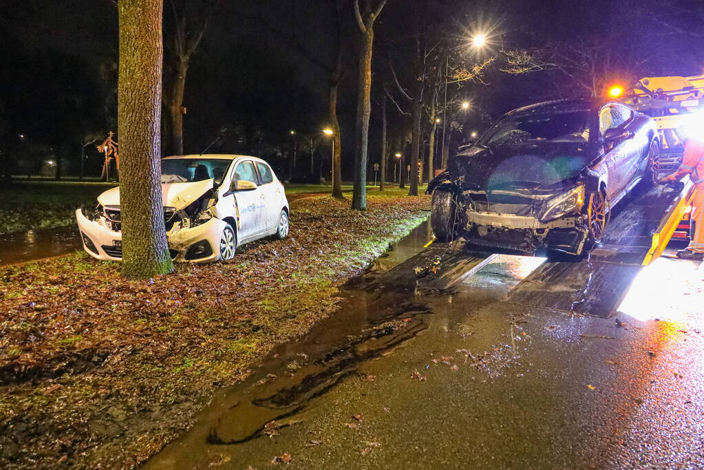 Flinke schade na botsing tegen boom