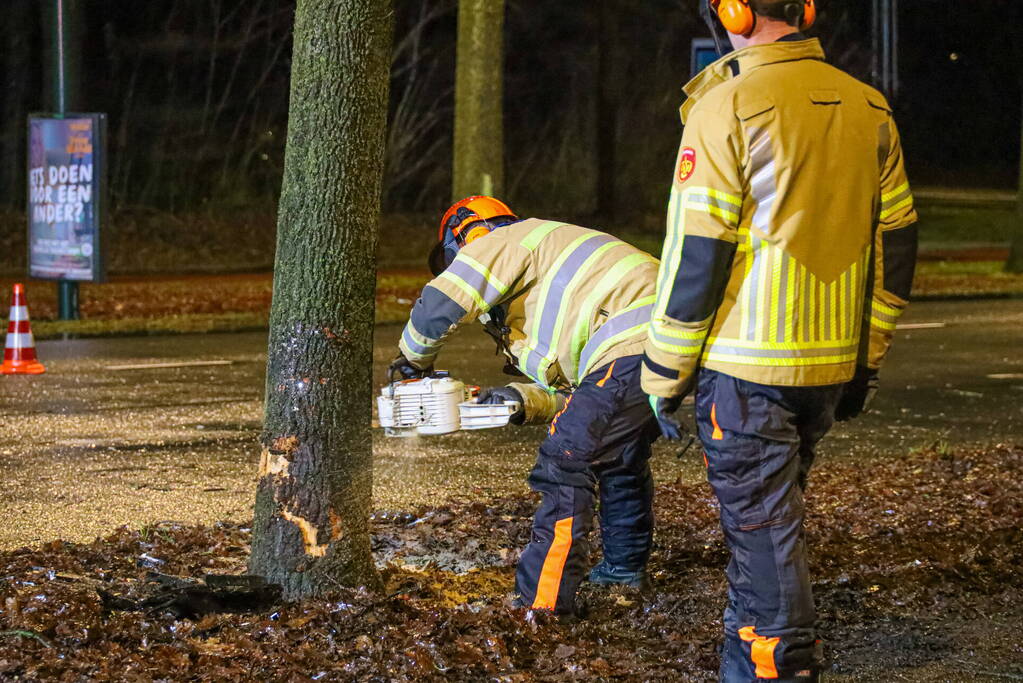 Flinke schade na botsing tegen boom