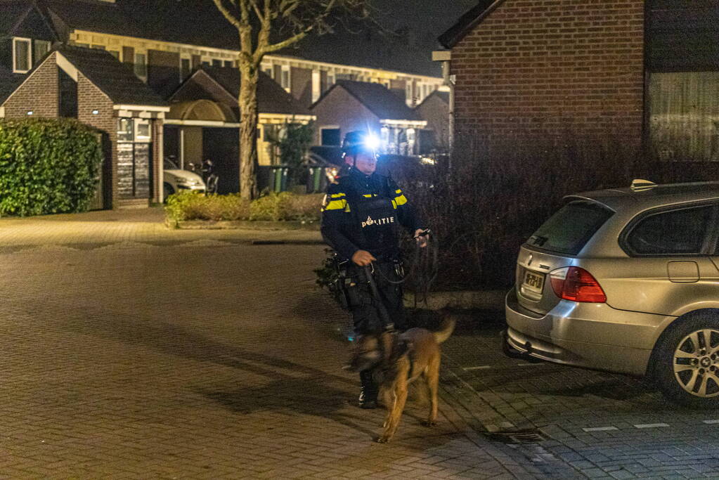 Gevaarlijke verdachte crasht met auto