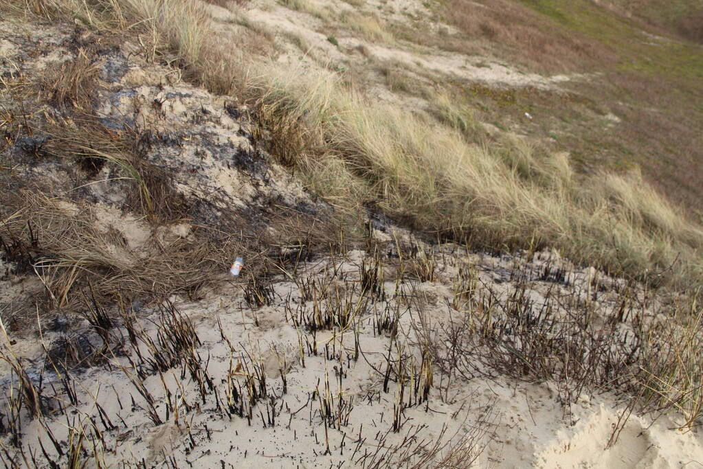 Jongens thuis gebracht na brand in duinen