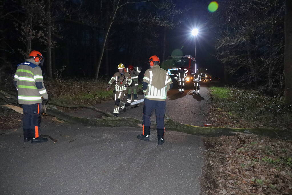 Geknakte boom verspert weg