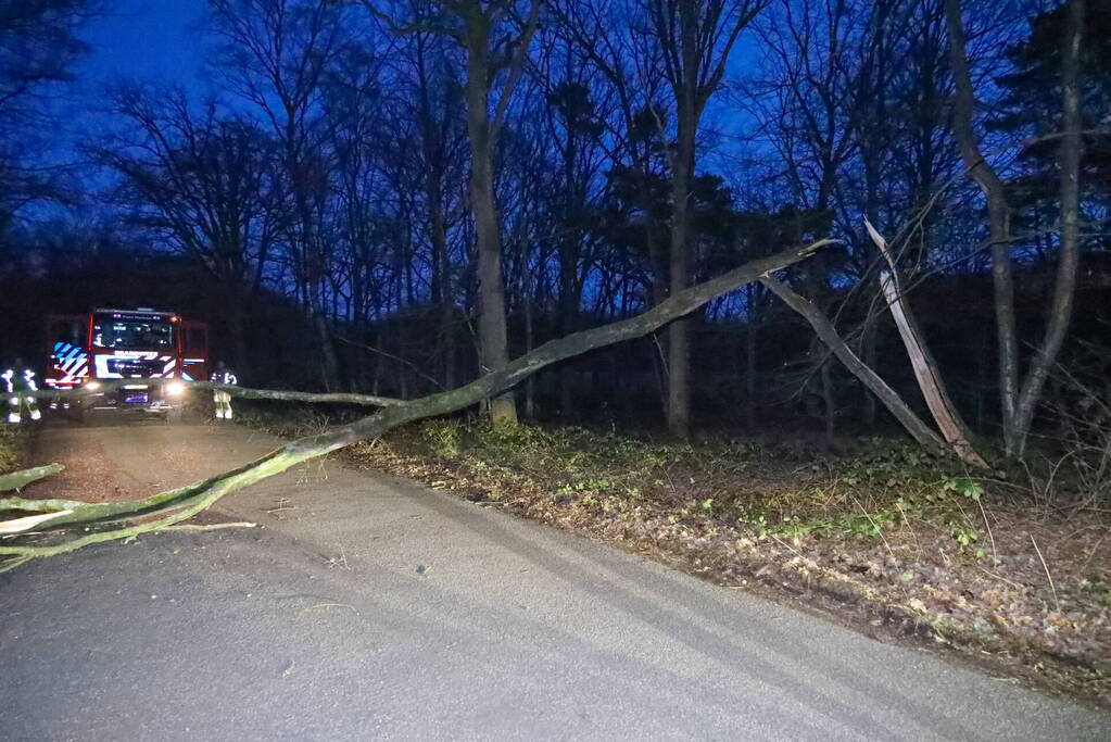 Geknakte boom verspert weg