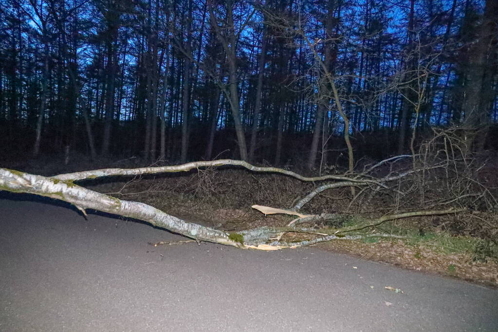 Geknakte boom verspert weg