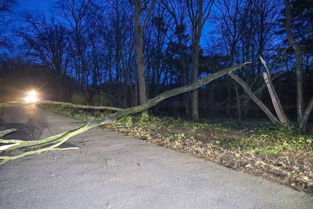 Geknakte boom verspert weg