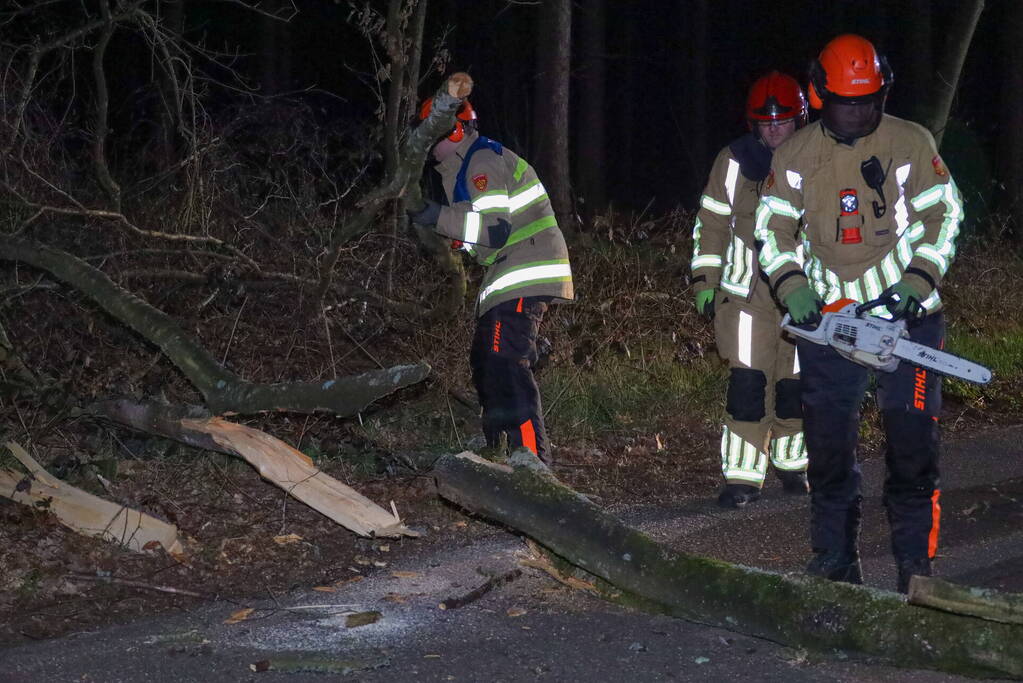 Geknakte boom verspert weg