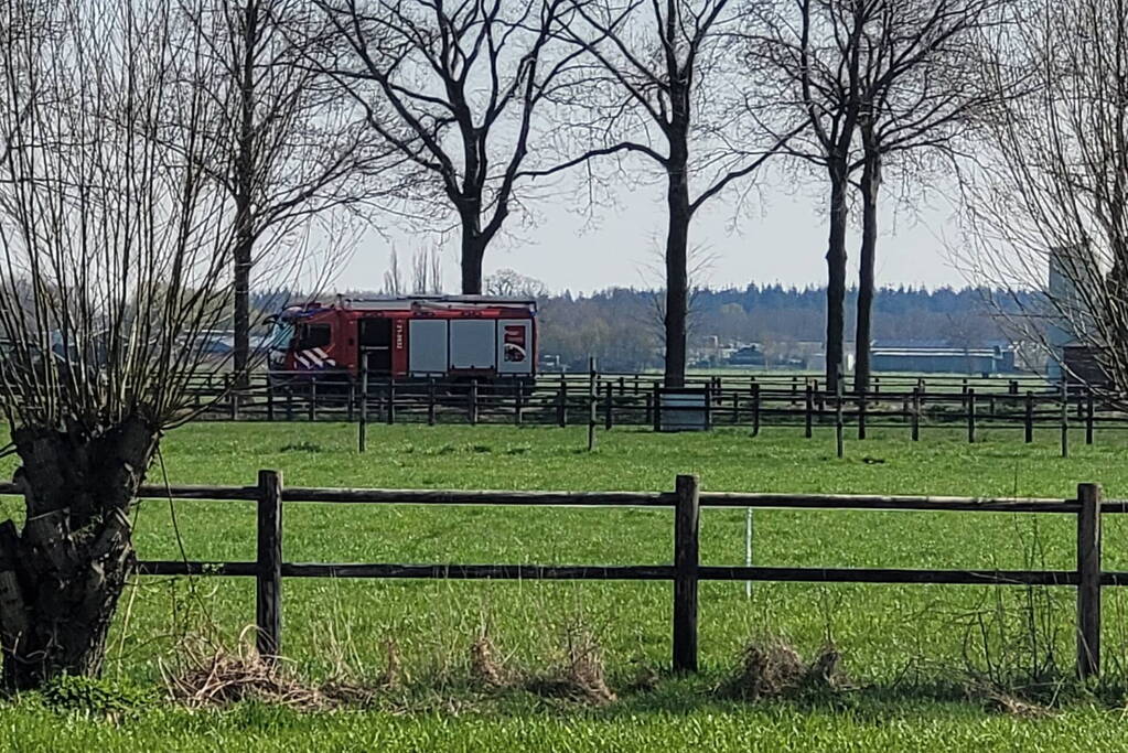 9000 varkens overleden door grote stalbrand