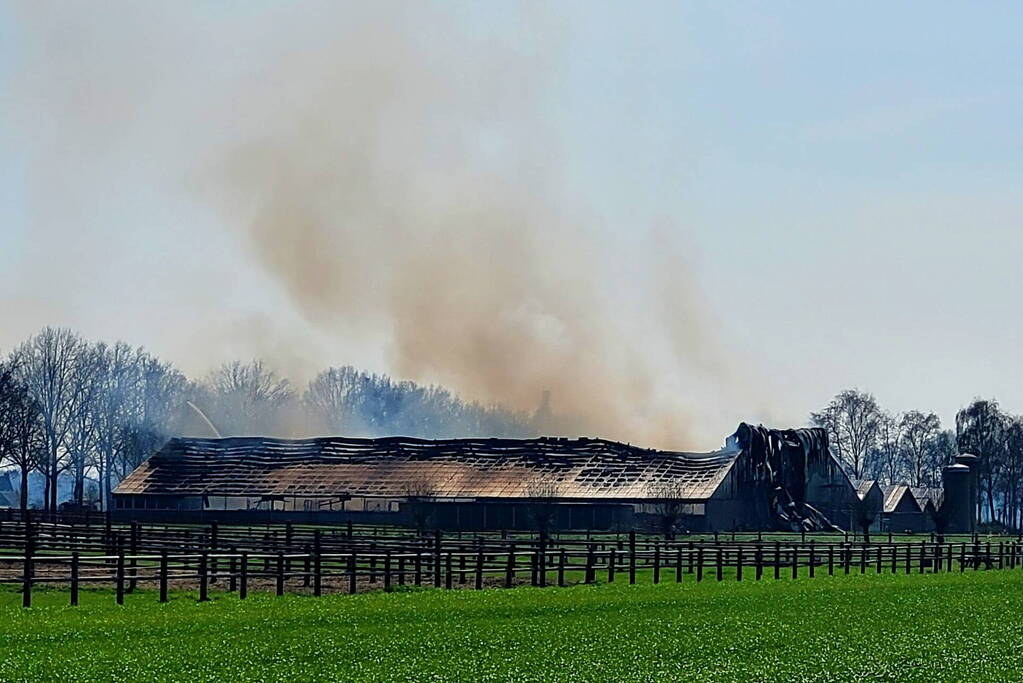 9000 varkens overleden door grote stalbrand