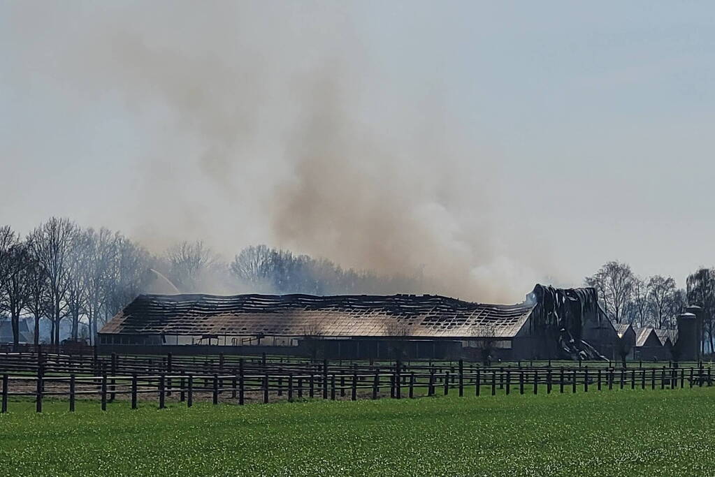 9000 varkens overleden door grote stalbrand