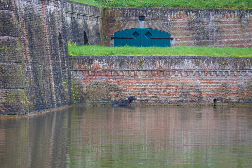 Hond valt van meters hoge vestingwal in water