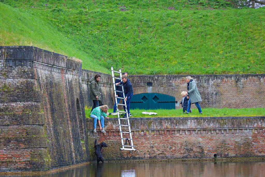 Hond valt van meters hoge vestingwal in water