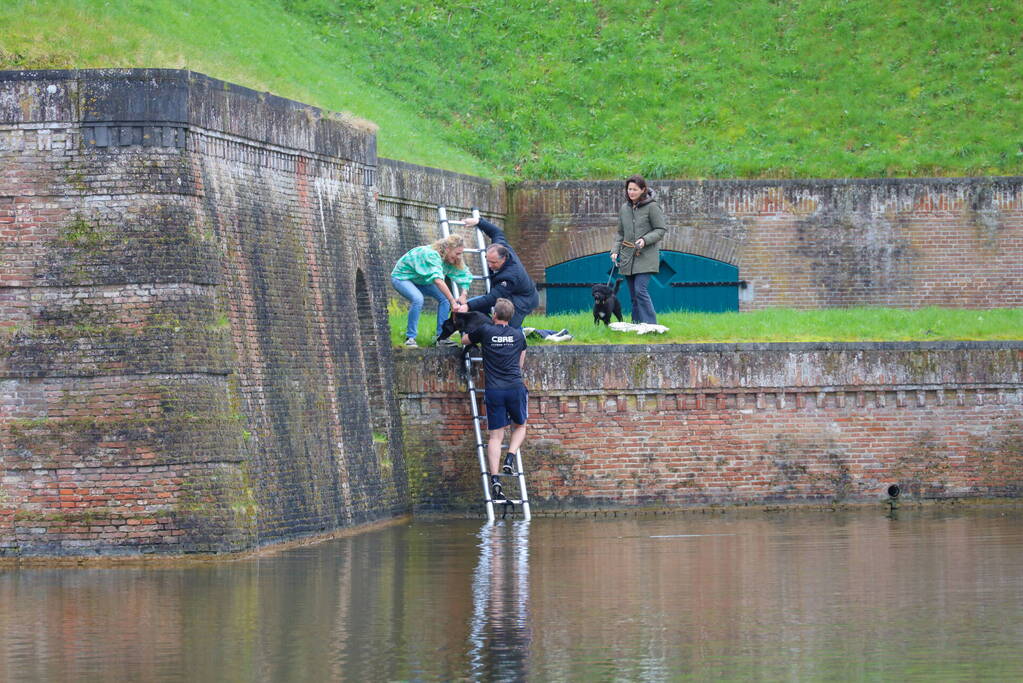 Hond valt van meters hoge vestingwal in water