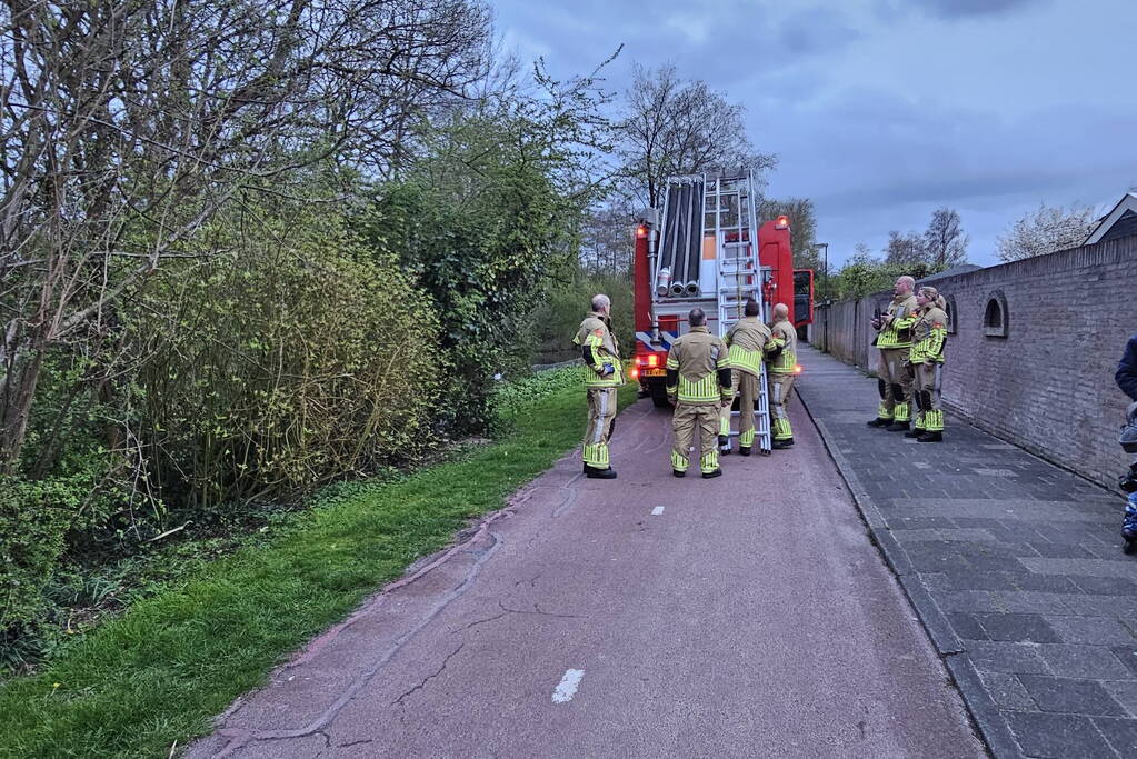 Brandweer ingezet voor kat in boom