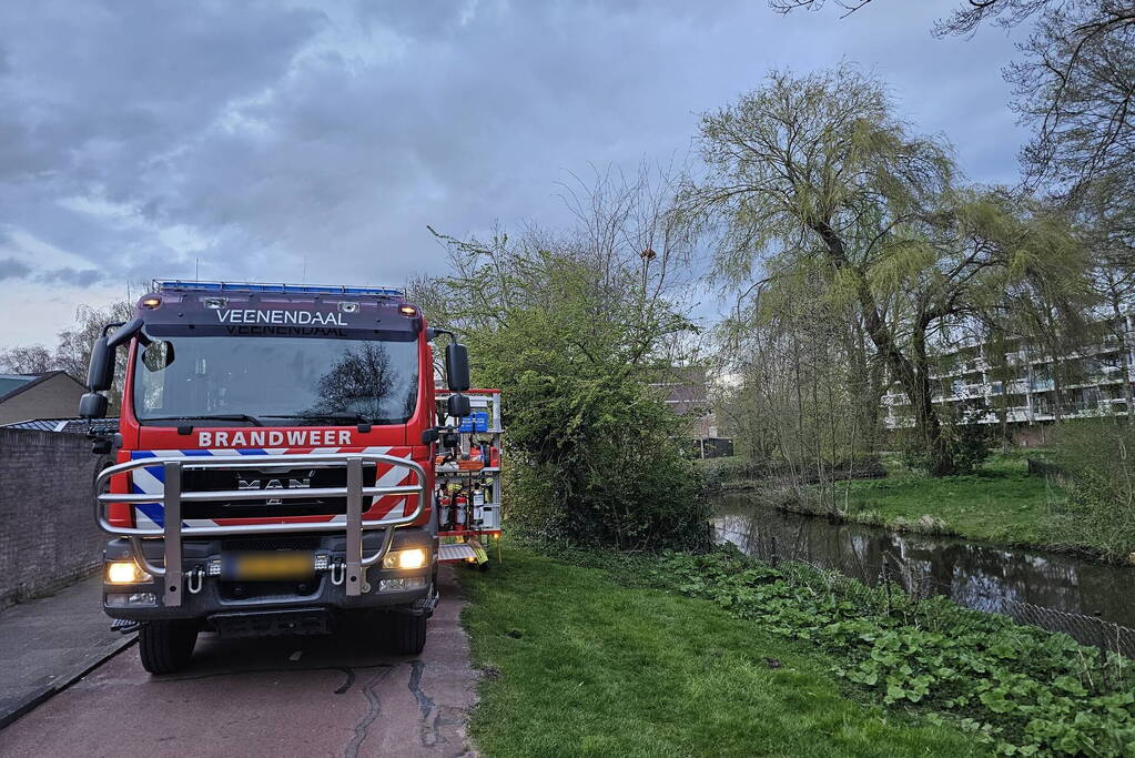 Brandweer ingezet voor kat in boom