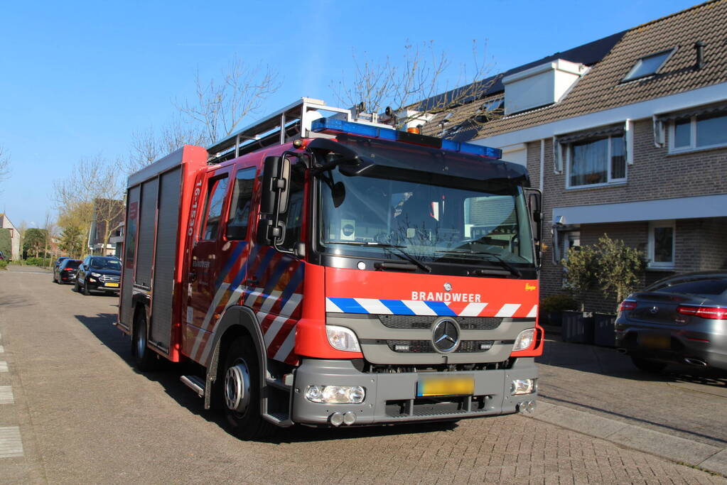 Brandweermannen halen kat van het dak