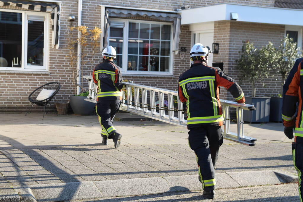 Brandweermannen halen kat van het dak