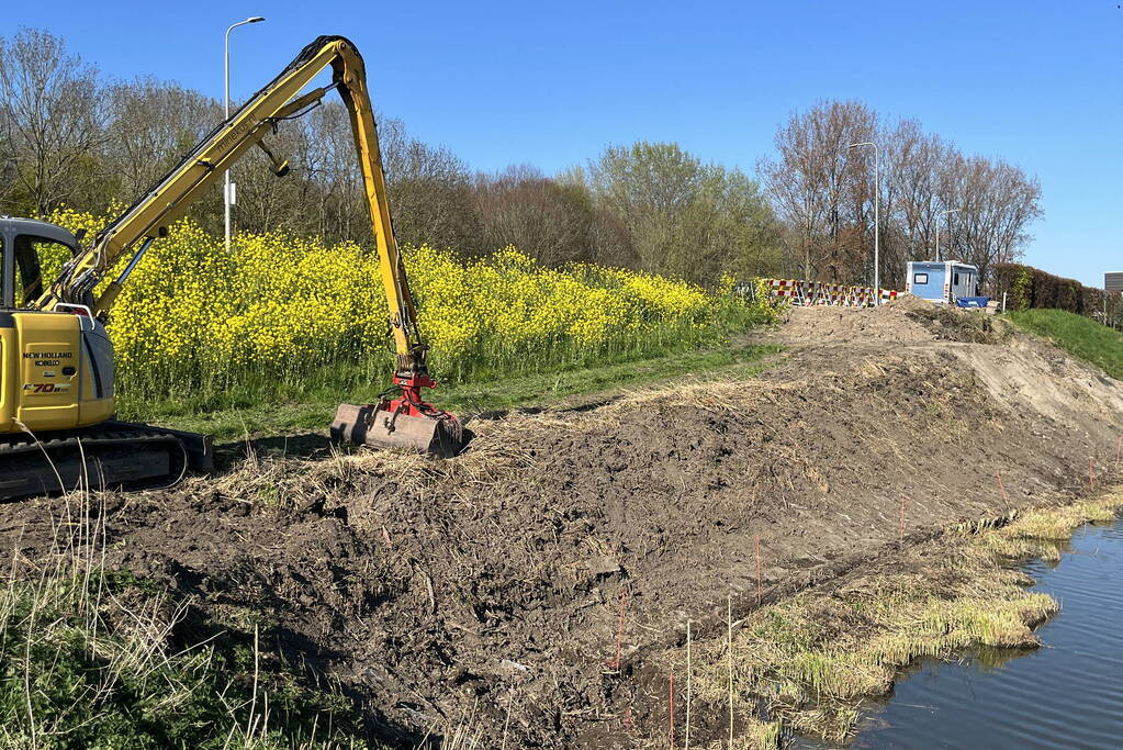 Bever maakt burcht en zorgt voor gevaarlijke situatie