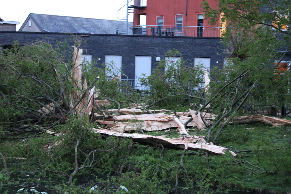 Bomen versplinterd door blikseminslag