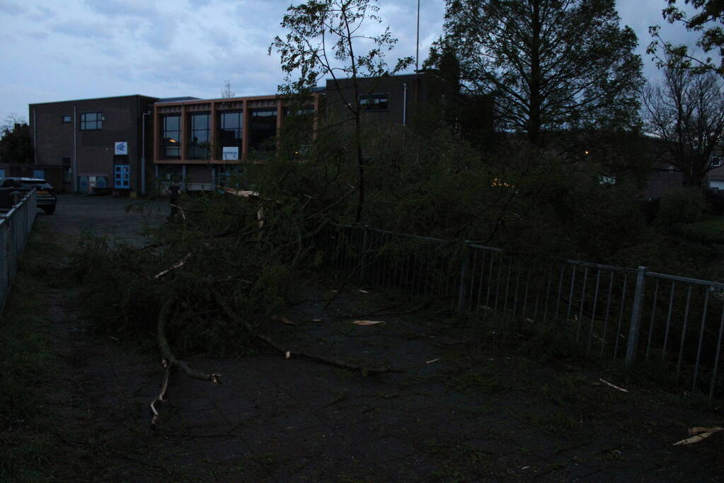 Bomen versplinterd door blikseminslag