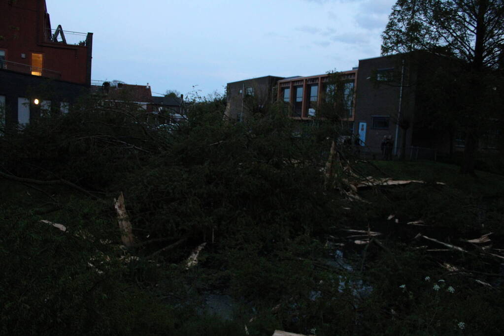 Bomen versplinterd door blikseminslag