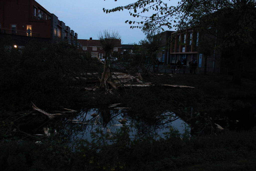 Bomen versplinterd door blikseminslag