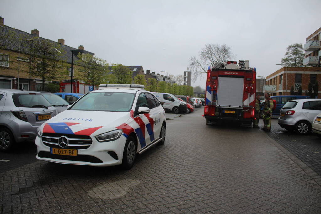 Rookontwikkeling door pan op het vuur