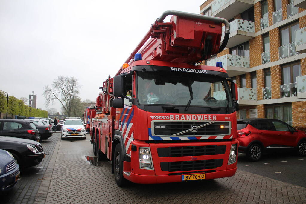 Rookontwikkeling door pan op het vuur