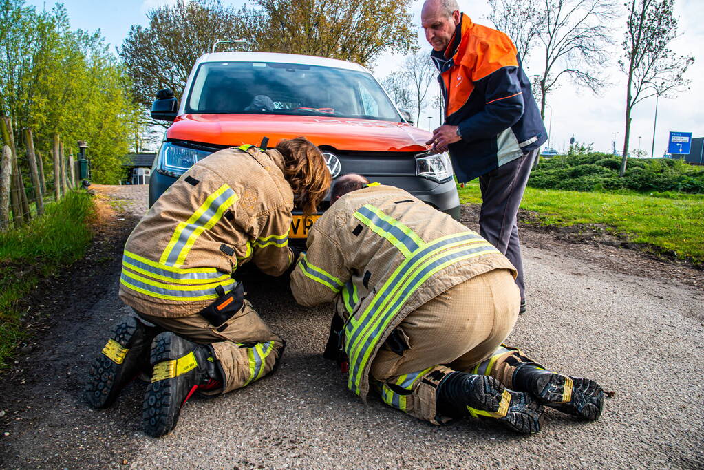 Brandweer redt duif uit voorkant van bestelbus