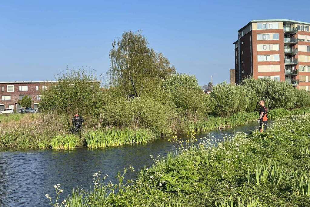 Brandweer vangt kalkoen