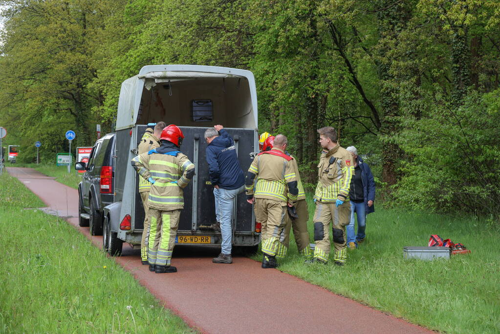 Paard overleden na verwonding in paardentrailer